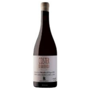 COSTER DE LA DEVEA